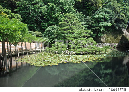鏡子池(島根縣出雲市/出雲市志摩町) 鏡子池(島根縣出雲市/出雲市志摩町) 18093756