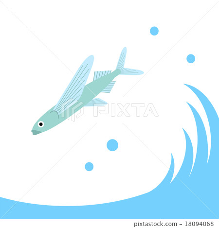 Flying fish Flying fish 18094068