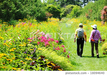 Walking around the Zi Bamboo Garden 18094640