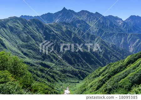 Spear of summer in summer Spear of summer in summer 18095385