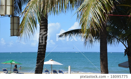 Cabarete beach Cabarete beach 18095775