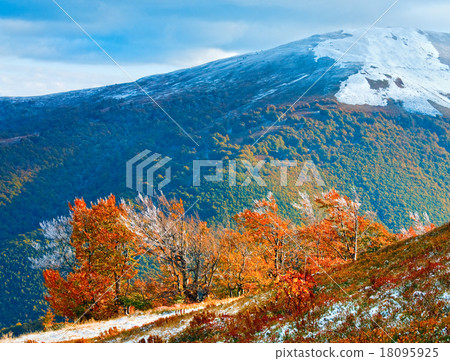 First winter snow and autumn colourful foliage on mountain First winter snow and autumn colourful foliage on mountain 18095925