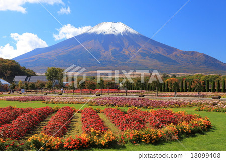 Flower park capital and Fuji 18099408