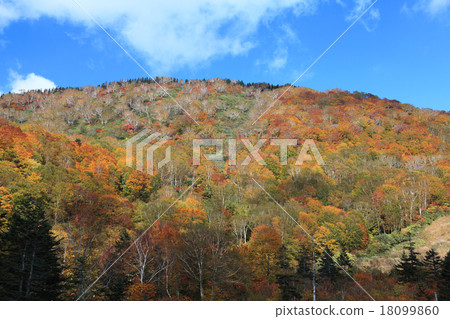 Tsugaike Nature Park 18099860