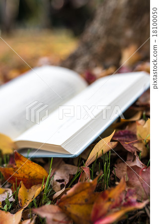 Fall of reading Fall of reading 18100050
