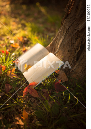 Fall of reading Fall of reading 18100051