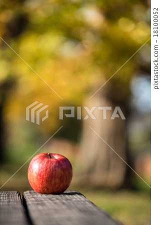 Apple  18100052