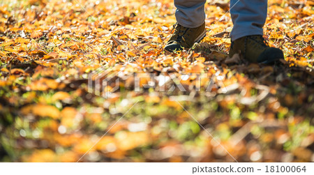 Walking in autumn Walking in autumn 18100064