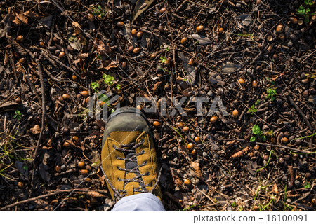 Walking in autumn 18100091