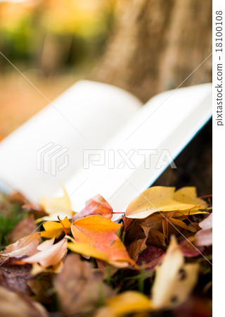 讀書的下降 18100108