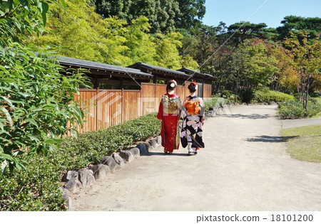 Board fence 18101200