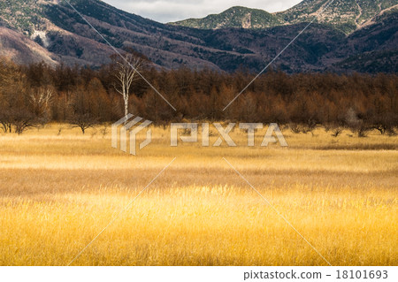 Odashirogahara Odashirogahara 18101693