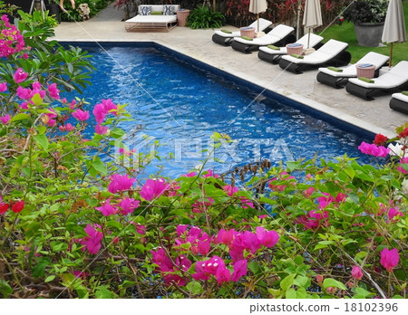 Resort pool 18102396