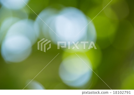 Sunny abstract green nature background Sunny abstract green nature background 18102791
