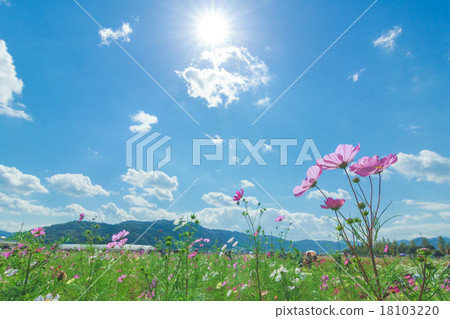 太陽和宇宙 太陽和宇宙 18103220