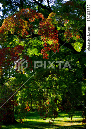 Autumn landscape 18103252