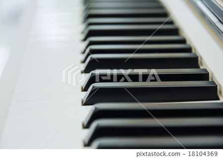 Close-up of Piano Keyboard centred  18104369