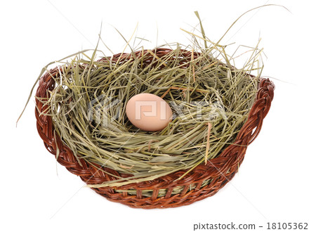 Egg in a basket isolated 18105362