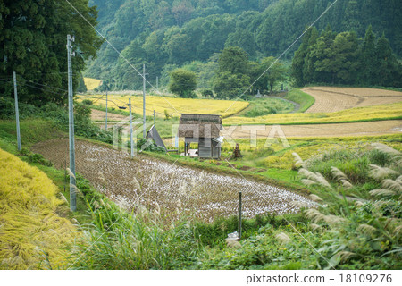 Rural landscape 18109276