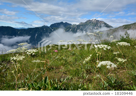 Kashima Yagatake Volcano in summer 18109446
