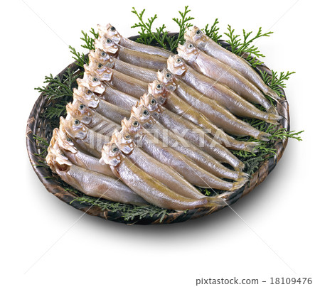 Sashimon（乾魚）竹草 18109476