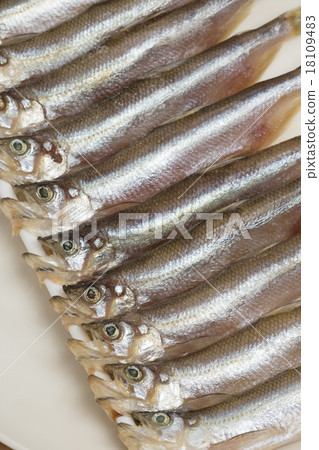 乾魚 乾魚 18109483