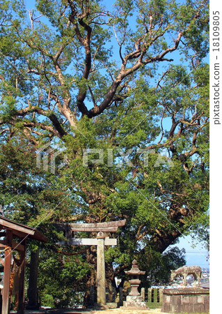 大川阿蘇神社的大凱美瑞 大川阿蘇神社的大凱美瑞 18109805