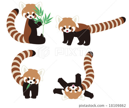 Character of lesser panda - Stock Illustration [18109862] - PIXTA