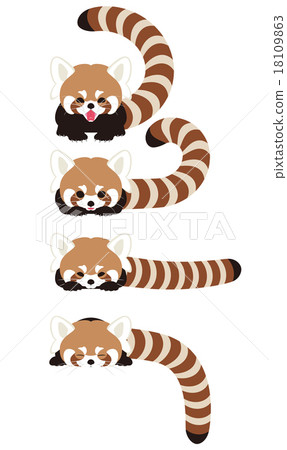 Character of lesser panda - Stock Illustration [18109863] - PIXTA