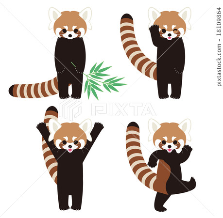 Character of lesser panda - Stock Illustration [18109864] - PIXTA