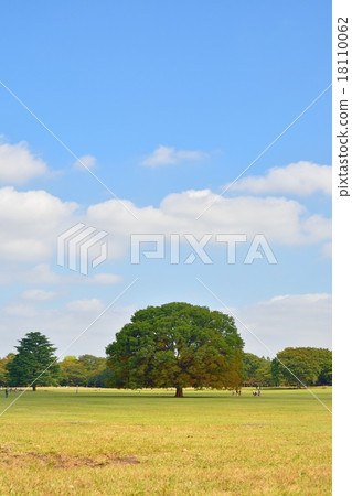 昭和紀念公園 18110062