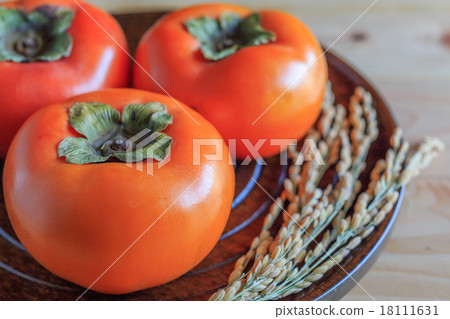 柿子 柿子 18111631