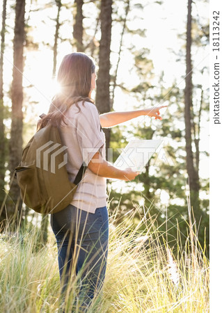 Brunette hiker with map pointing far away 18113242