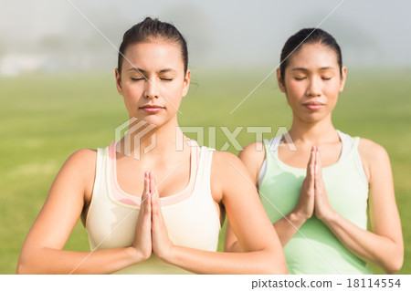 Peaceful sporty women doing yoga Peaceful sporty women doing yoga 18114554