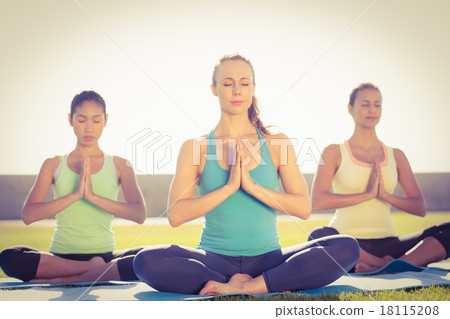 Peaceful sporty women doing lotus pose 18115208