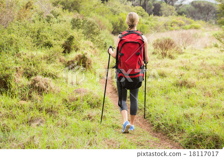 Blonde hiker hiking with trekking poles Blonde hiker hiking with trekking poles 18117017