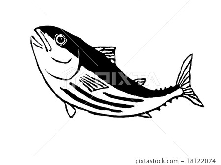 Bonito 18122074