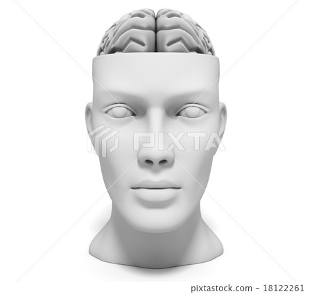 Human head with brain Human head with brain 18122261