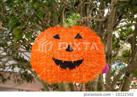 Halloween  Halloween  18122502