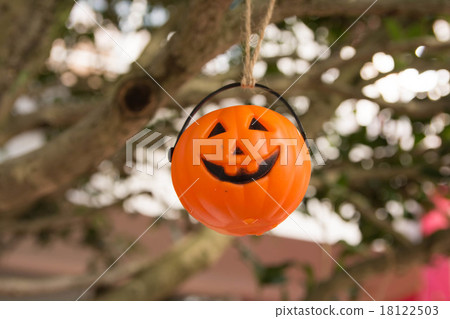 Halloween  Halloween  18122503