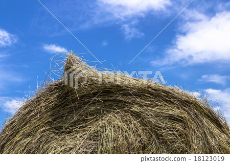 Bale of hay Bale of hay 18123019