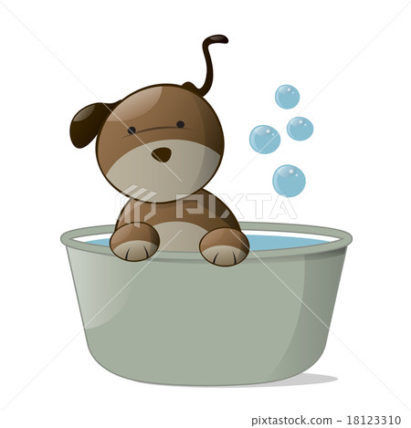 Wash Dog. Wash Dog. 18123310