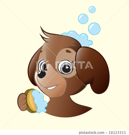 Wash Dog. Wash Dog. 18123311