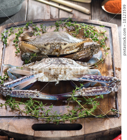 raw crabs with spices for cooking preparation raw crabs with spices for cooking preparation 18123599