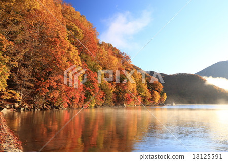 Sengagahama的黎明 18125591