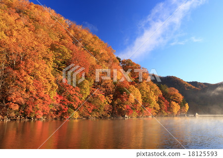 Sengagahama的黎明 18125593