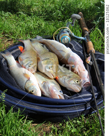 fishing catch on the grass and fishing gear 18125862