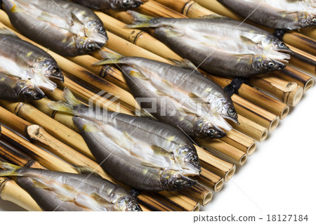 阿玉一夜之間乾了 18127184