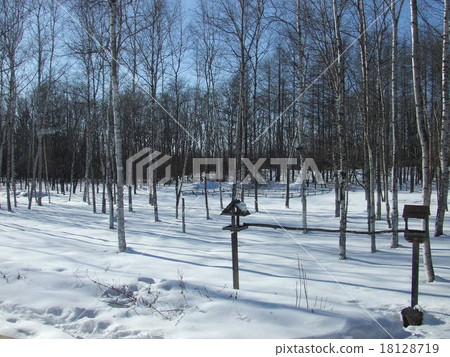 雪景 雪景 18128719