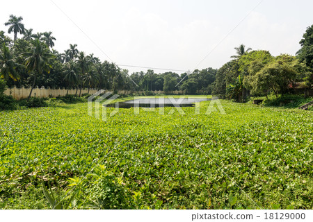pond of Uttara Gano Bhaban pond of Uttara Gano Bhaban 18129000